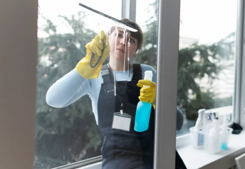 Nettoyage de vitres intérieures et extérieures à Pied-de-Borne